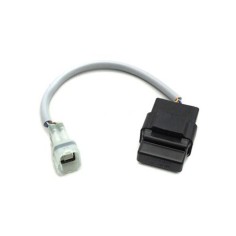 Dongle