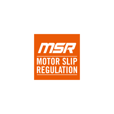 Motor slip regulation (MSR)