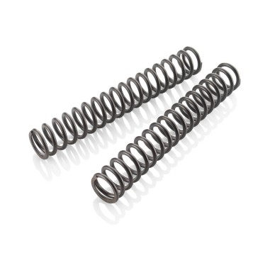 Fork spring set