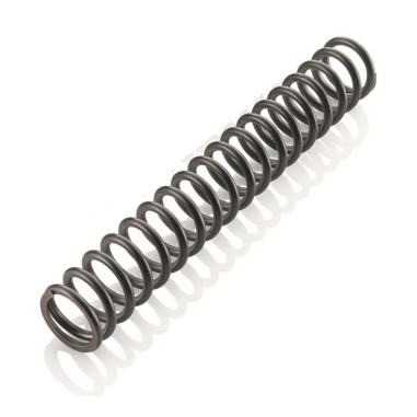 Fork spring