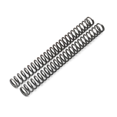 FORK SPRING SET