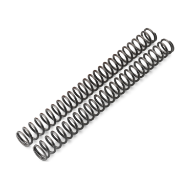 Fork spring set