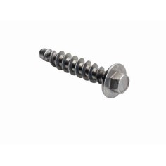 Special screw K60X30 WS 6
