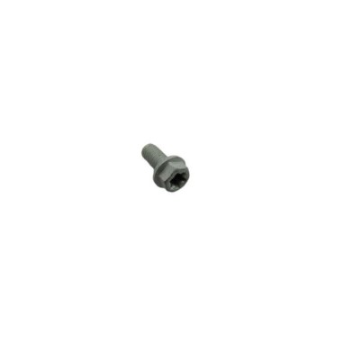 HH collar screw M6x12 TX30