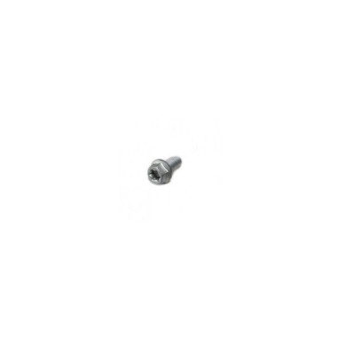 HH collar screw M6x16 TX30 SL