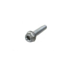 HH collar screw M6x30 TX30