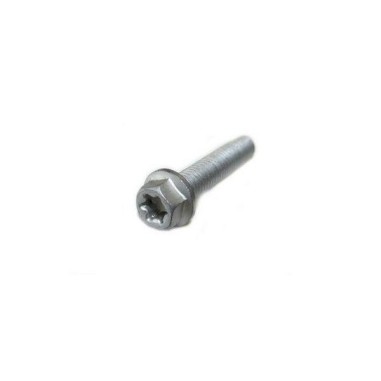 HH collar screw M6x30 TX30