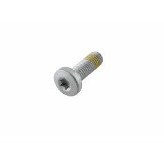 SHCS M8x20 TX45