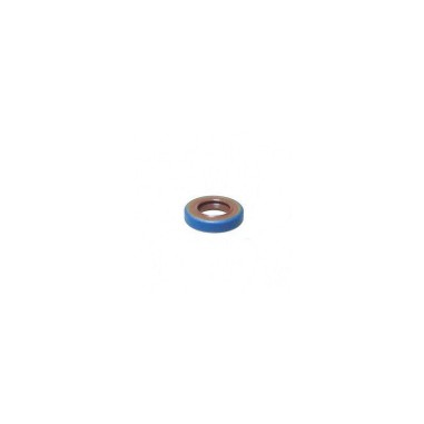SHAFT SEAL RING 10X18X4 BSL V.