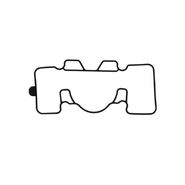 INTERMEDIATE FLANGE GASKET