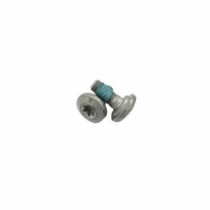 Special screw M8X18 TORX45 SL
